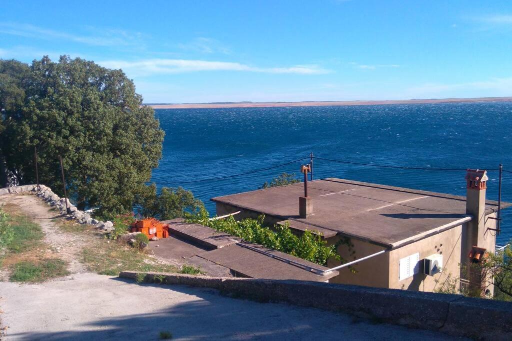 Apartment Lisarica Starigrad Paklenica Zewnętrze zdjęcie
