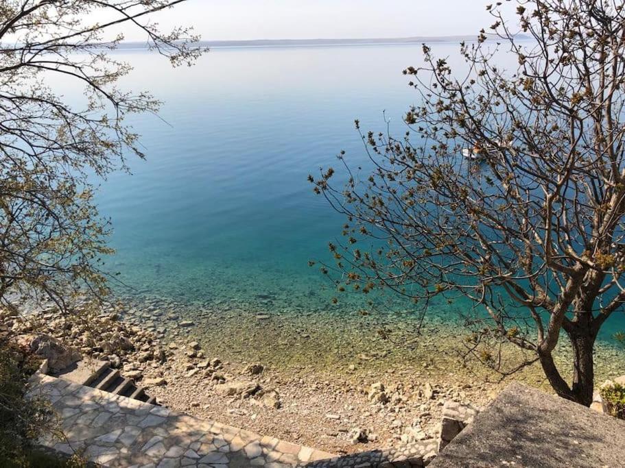 Apartment Lisarica Starigrad Paklenica Zewnętrze zdjęcie